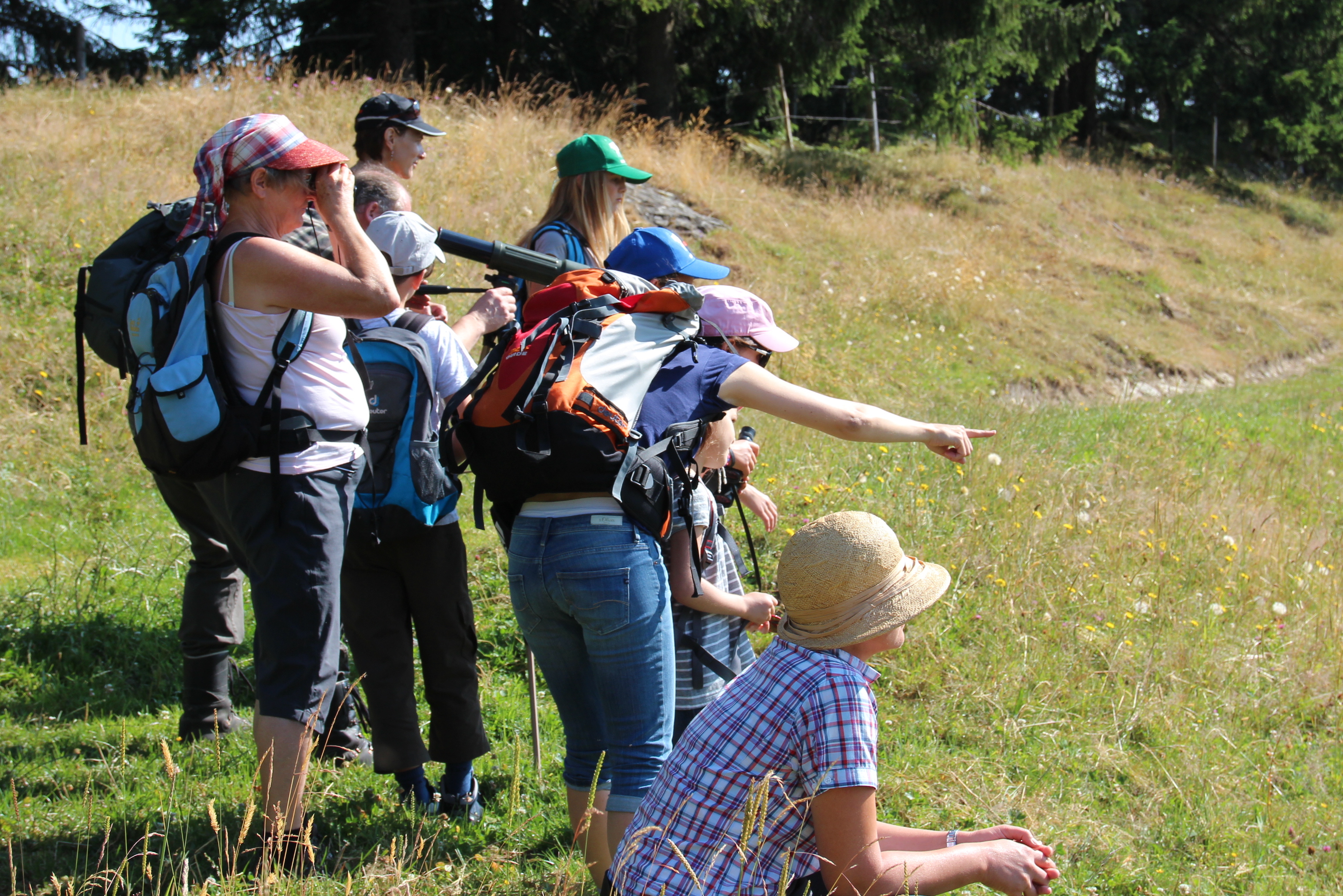 5 2015_07_15_Exkursion_Murmeli, Dachs und Hirsch_Leitung Walter Bieri_Beobachtung Murmeltier_Marbachegg_Marbach_Schangnau_RP (10).JPG 5 2015_07_15_Exkursion_Murmeli, Dachs und Hirsch_Leitung Walter Bieri_Beobachtung Murmeltier_Marbachegg_Marbach_Schangnau_RP (10)