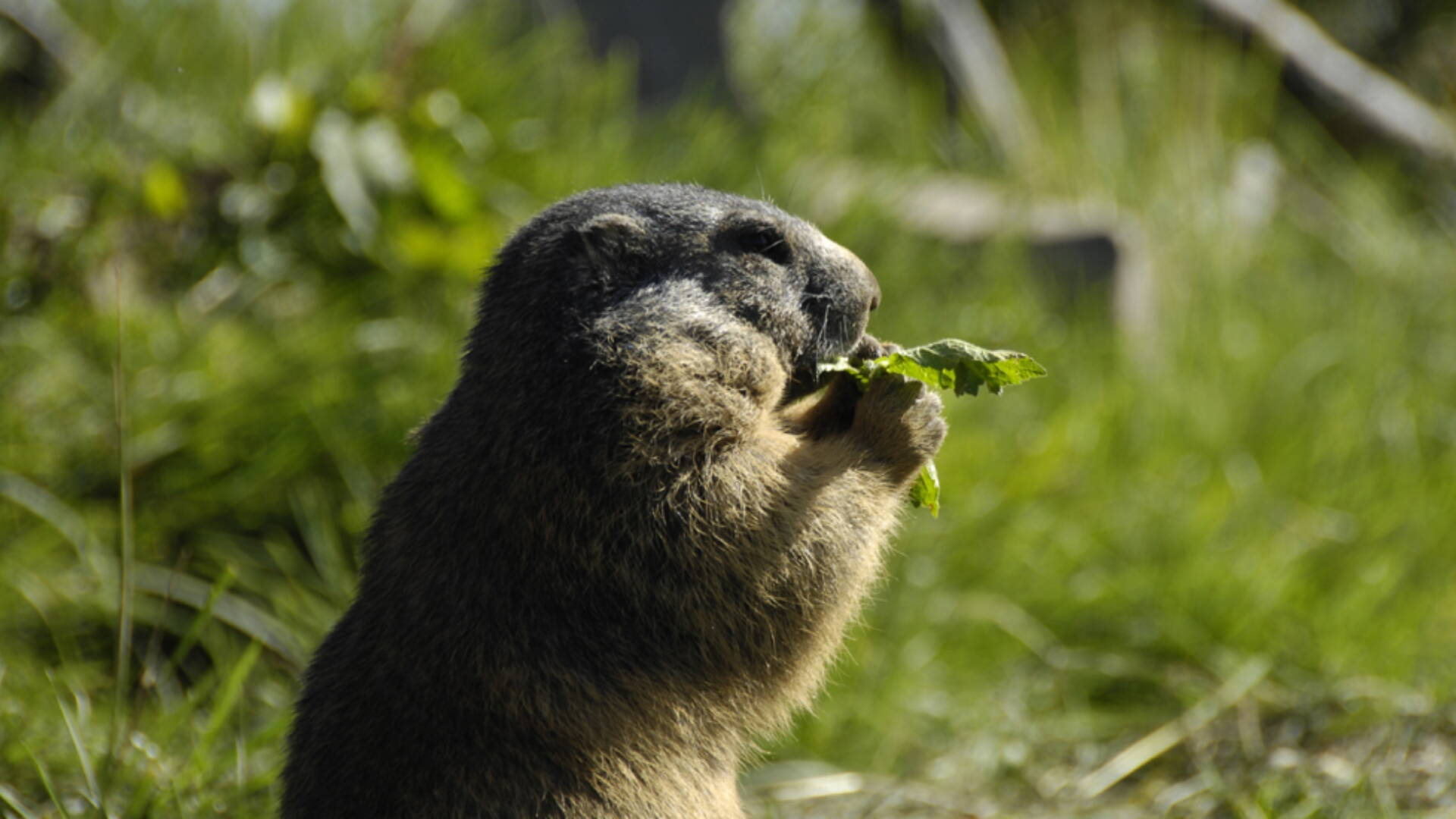 gruppe_maskieren_9.jpg gruppe_maskieren_9.jpg