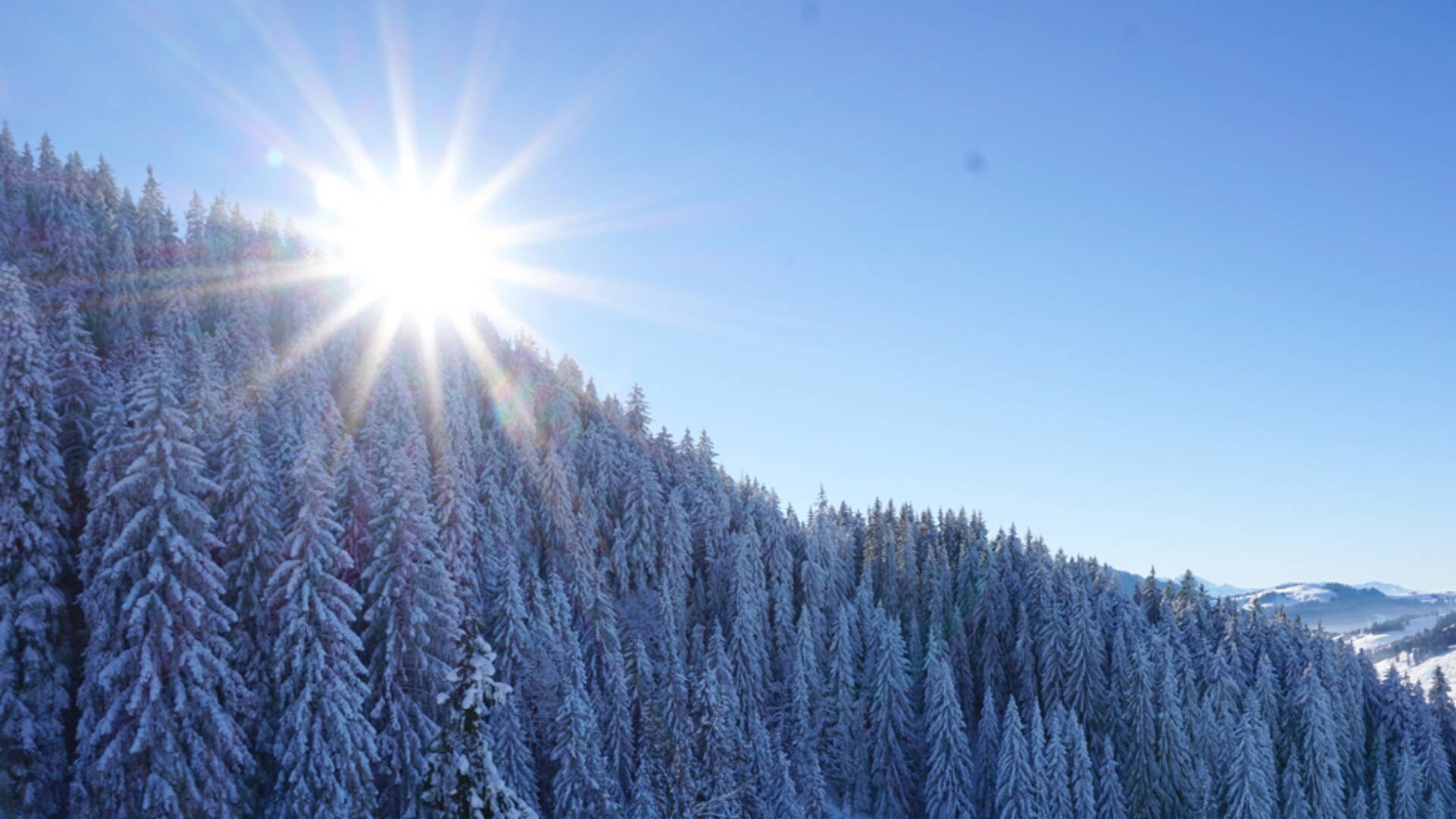 gruppe_maskieren_11.jpg gruppe_maskieren_11.jpg