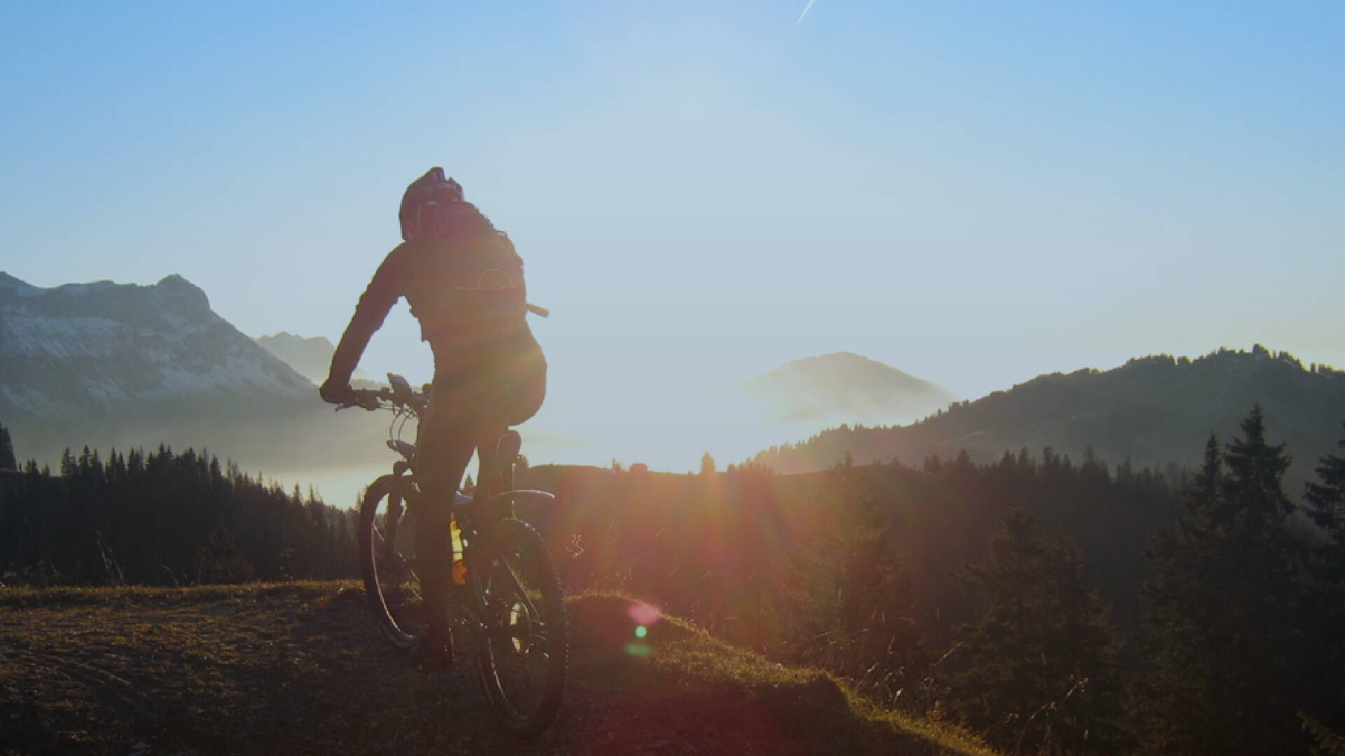 s_head_bike_2.jpg s_head_bike_2.jpg